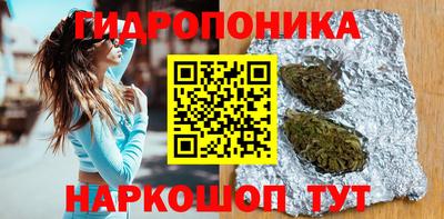 прущие грибы Пенза
