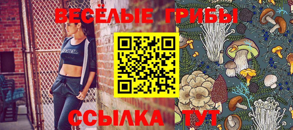 Рузаевка  где продают   Вход с VPN  Псилоцибиновые грибы Psilocybine cubensis 